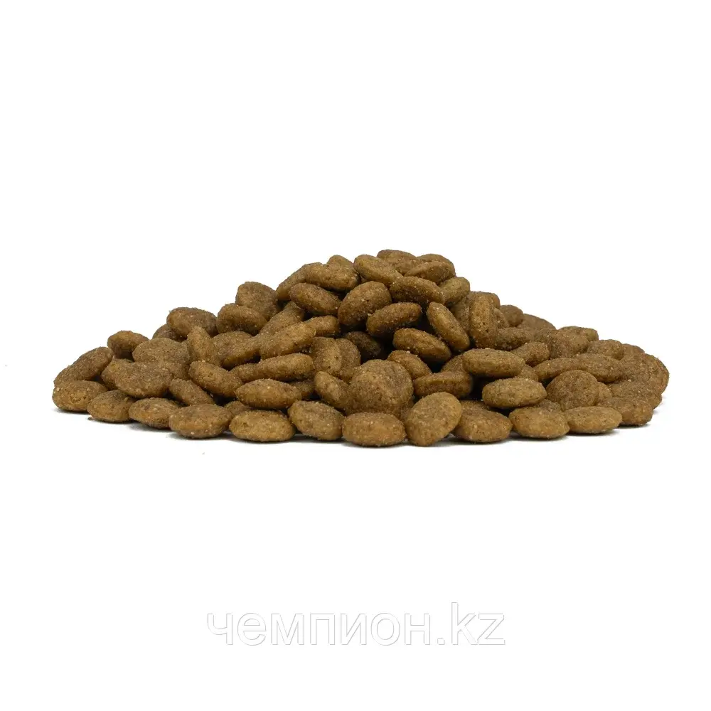 11779 Forzа10 Medium Diet cer|pat,Форца10 диетический корм из оленины и картофеля для собак средних пород,уп12