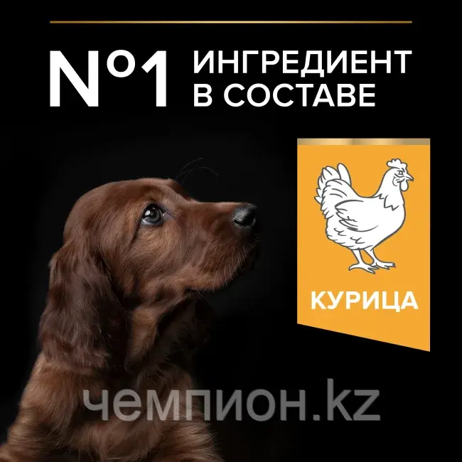 Pro Plan Puppy Large Athletic, Про План корм для щенков крупных пород с курицей, уп. 12кг.