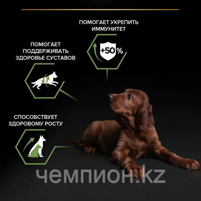 Pro Plan Puppy Large Athletic, Про План корм для щенков крупных пород с курицей, уп. 12кг.