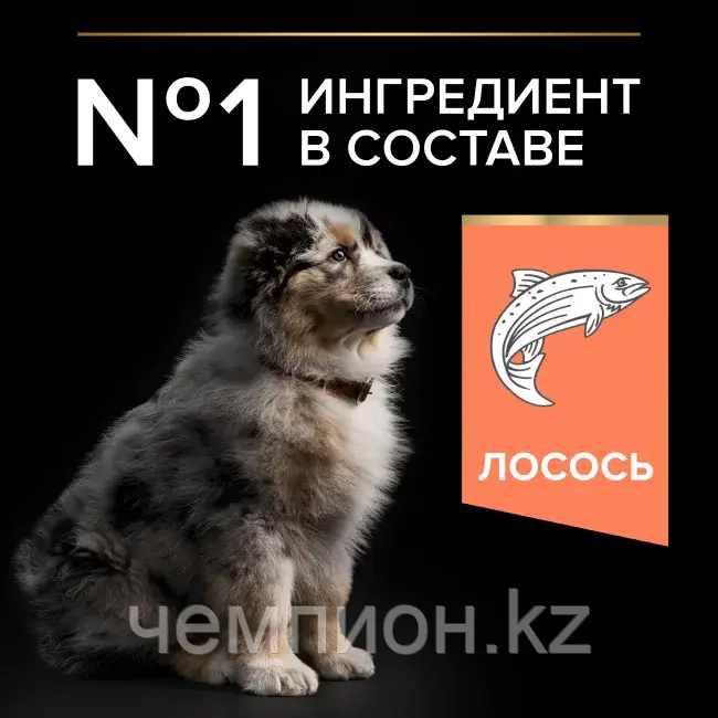 Pro Plan Puppy Sensitive Medium, Про План корм для щенков с чувств. пищеварением, с лососем, уп. 12кг Код: 339
