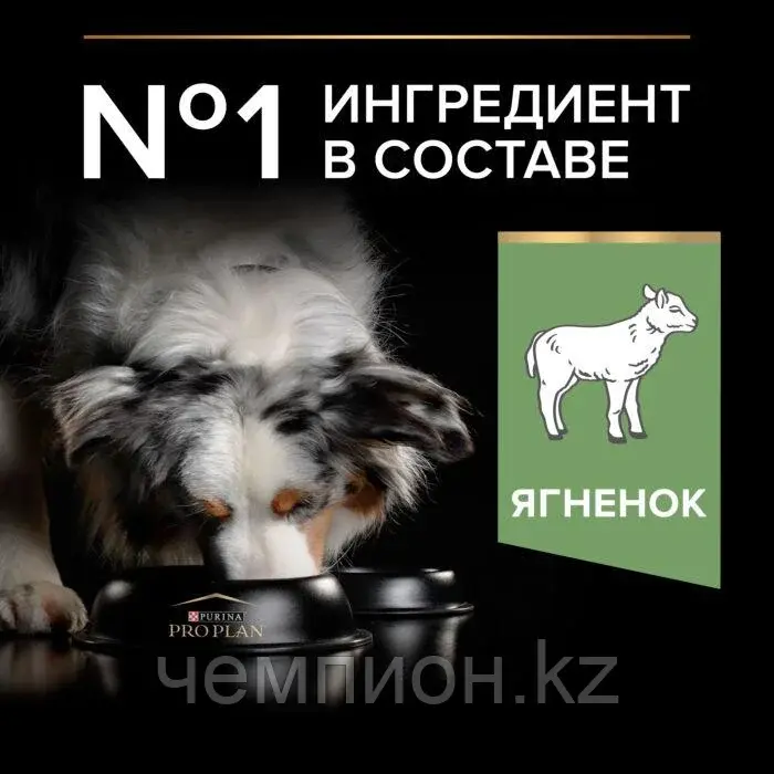 Pro Plan medium Adult Sensitive Digestion, корм для взрослых собак с ягненком, уп.14кг. Код: 5413