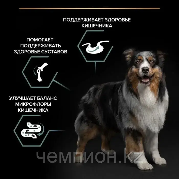 Pro Plan medium Adult Sensitive Digestion, корм для взрослых собак с ягненком, уп.14кг. Код: 5413
