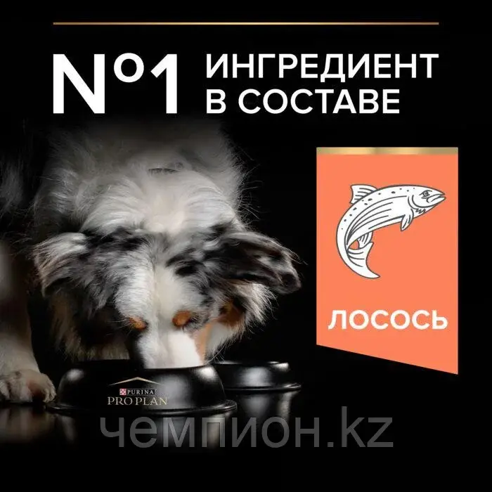 Pro Plan Medium Adult Sensitive, Про План для собак с чувствительным пищеварением, лосось|рис, уп.14 кг.
