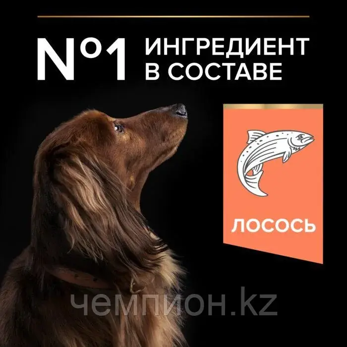 Pro Plan Adult Small & Mini Sensitive Skin, Про План для собак мелких пород с чувст-ой кожей, лосось 3кг Код: 3018