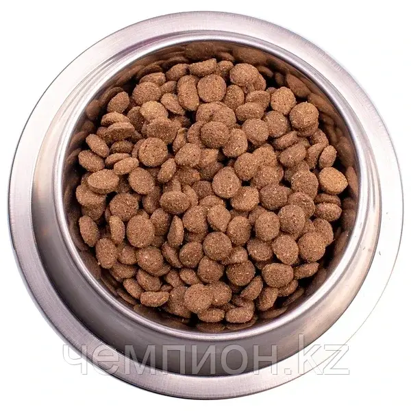 8615 Gemon Dog Adult All Breads, сухой корм для взрослых собак средних пород с ягнёнком и рисом, уп. 15кг.