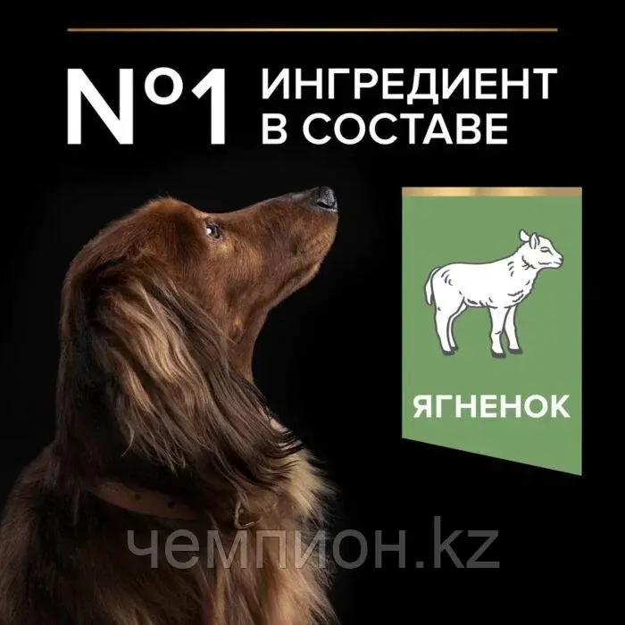 Pro Plan Adult Small &Mini Sensitive Digestion, Про План для собак мелких пород, ягненок/рис, 7кг Код: 444