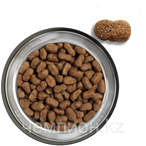 557810 BELCANDO ADULT LAMB&RIСE, Белькандо Адалт ягненок, гипоаллергенный корм для собак, уп.4кг
