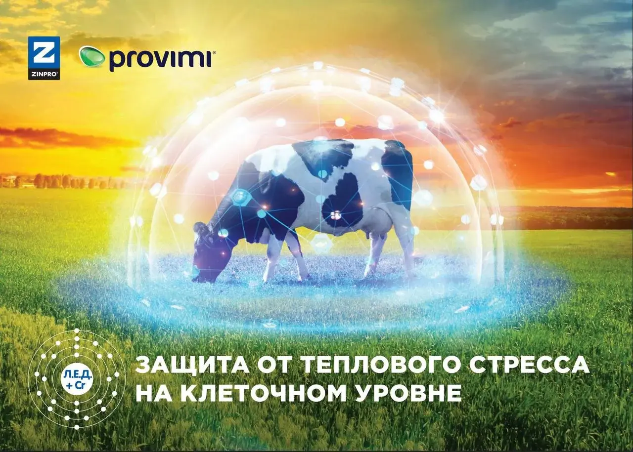 1 % БВМК для лактирующих коров ЛЕД + хром Код: 7440