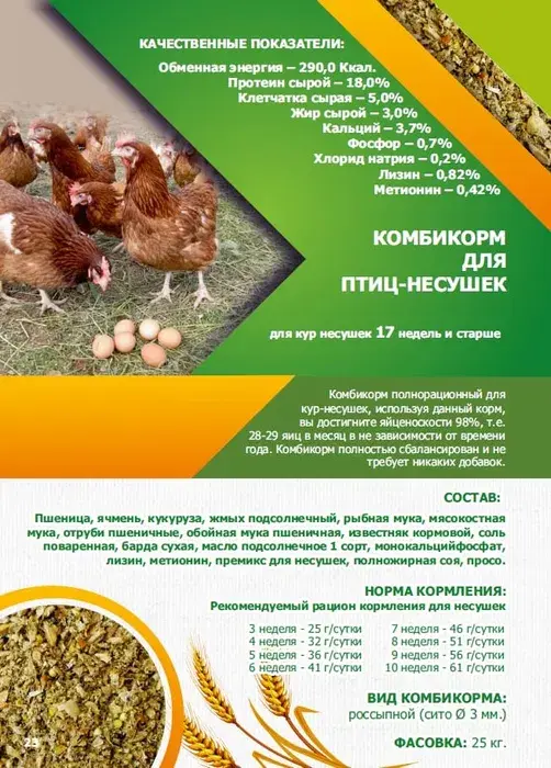 Комбикорма для КУР-НЕСУШЕК, ПЕРЕПЕЛОВ богданович и ускаман. Гречка