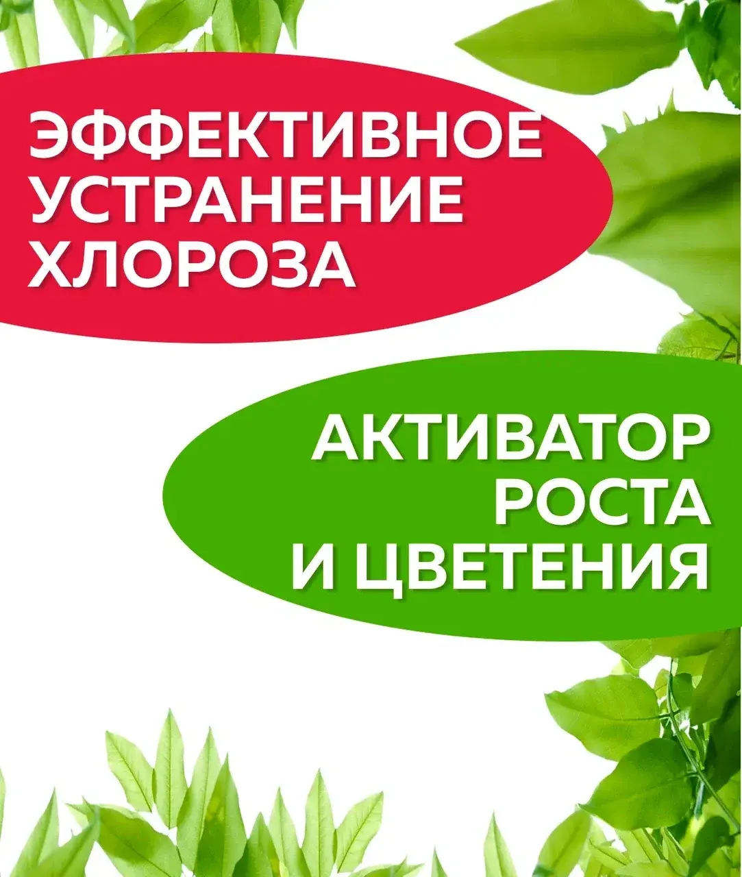 Препарат Антихлороз 5г 0187 Код: 10-00008207