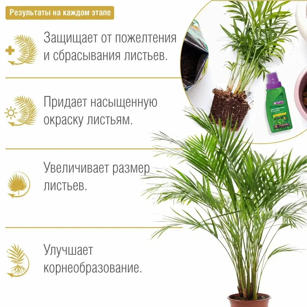 Удобрение Bona Forte для Фикусов и пальм №2 Здоровье 285мл Код: 00000006367