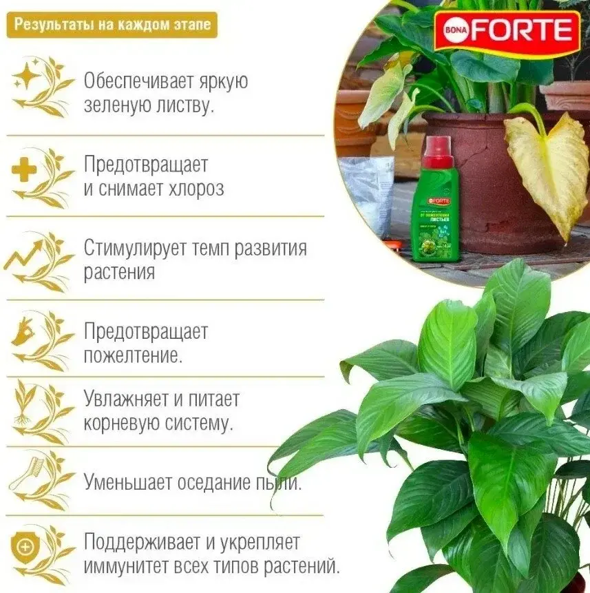 Удобрение Bona Forte 4 в 1 от пожелтения листьев 285мл 0061 Код: 10-00011706