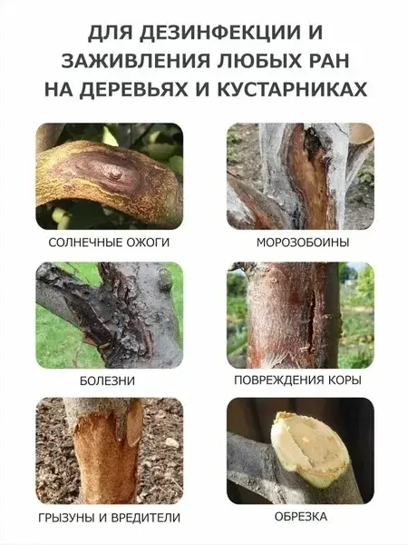 РанНет 600гр 0155 Код: 10-00015417
