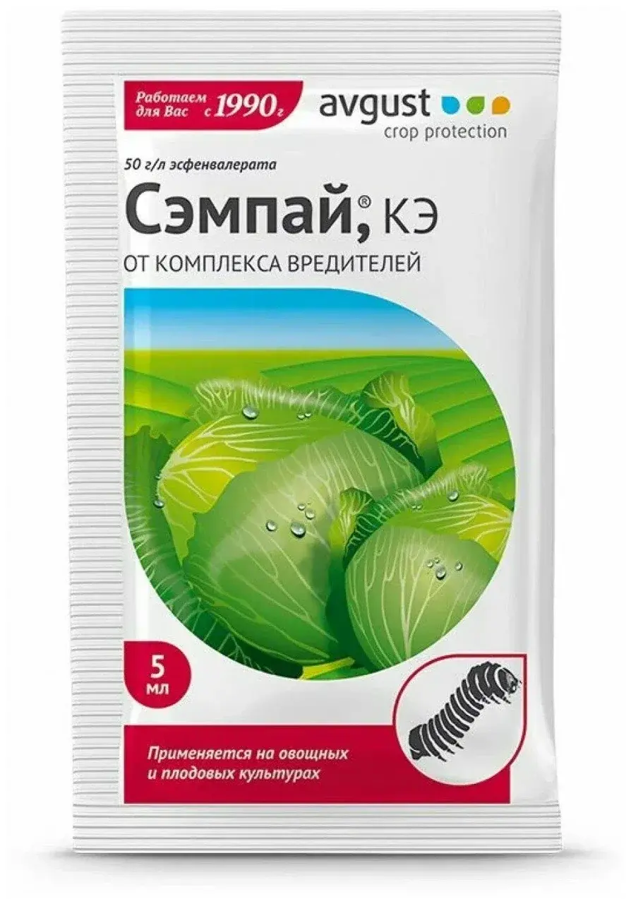 Сэмпай 5мл Август Код: 10-00007533