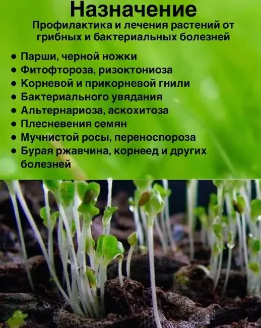 Фитоспорин-М рассада 100мл фунгицид Код: 10-00011194