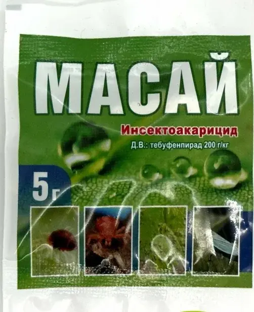 Масай 5г Код: 10-00014087