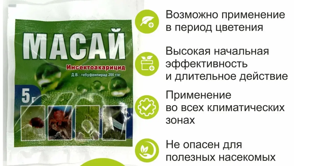 Масай 5г Код: 10-00014087