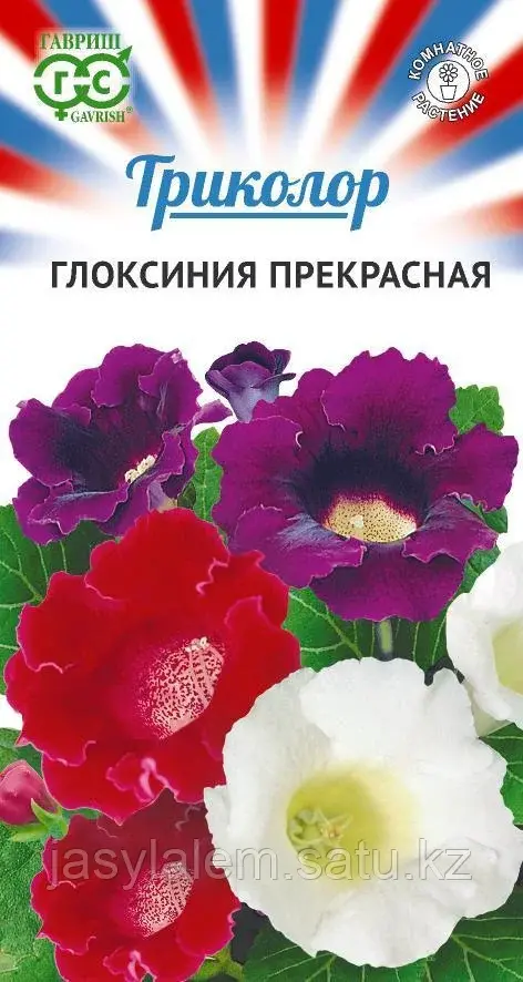 Глоксиния прекрасная смесь серия Триколор 9 шт.