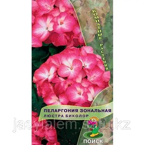 ПЕЛАРГОНИЯ ЛЮСТРА БИКОЛОР