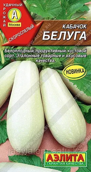 Кабачок Белуга