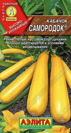 Кабачок цуккини Самородок