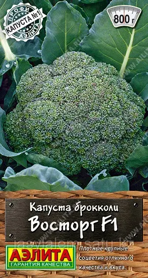 Капуста брокколи Восторг F1