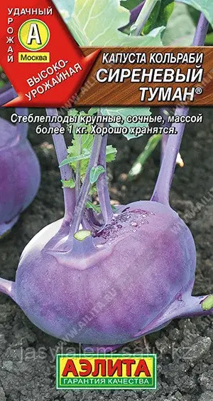 Капуста кольраби Сиреневый туман