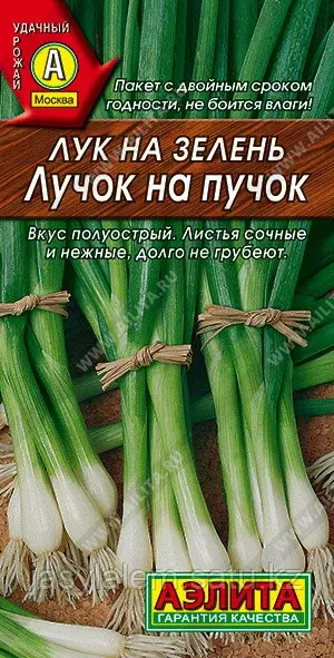 Лук на зелень Лучок на пучок