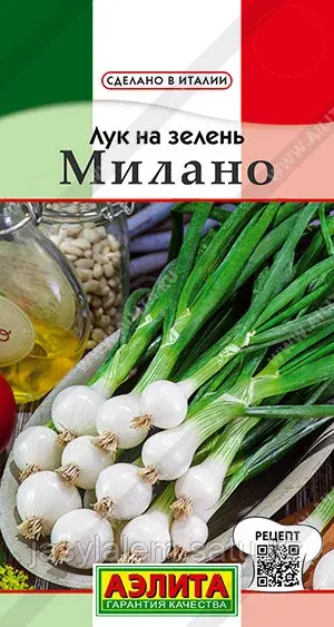 Лук на зелень Милано