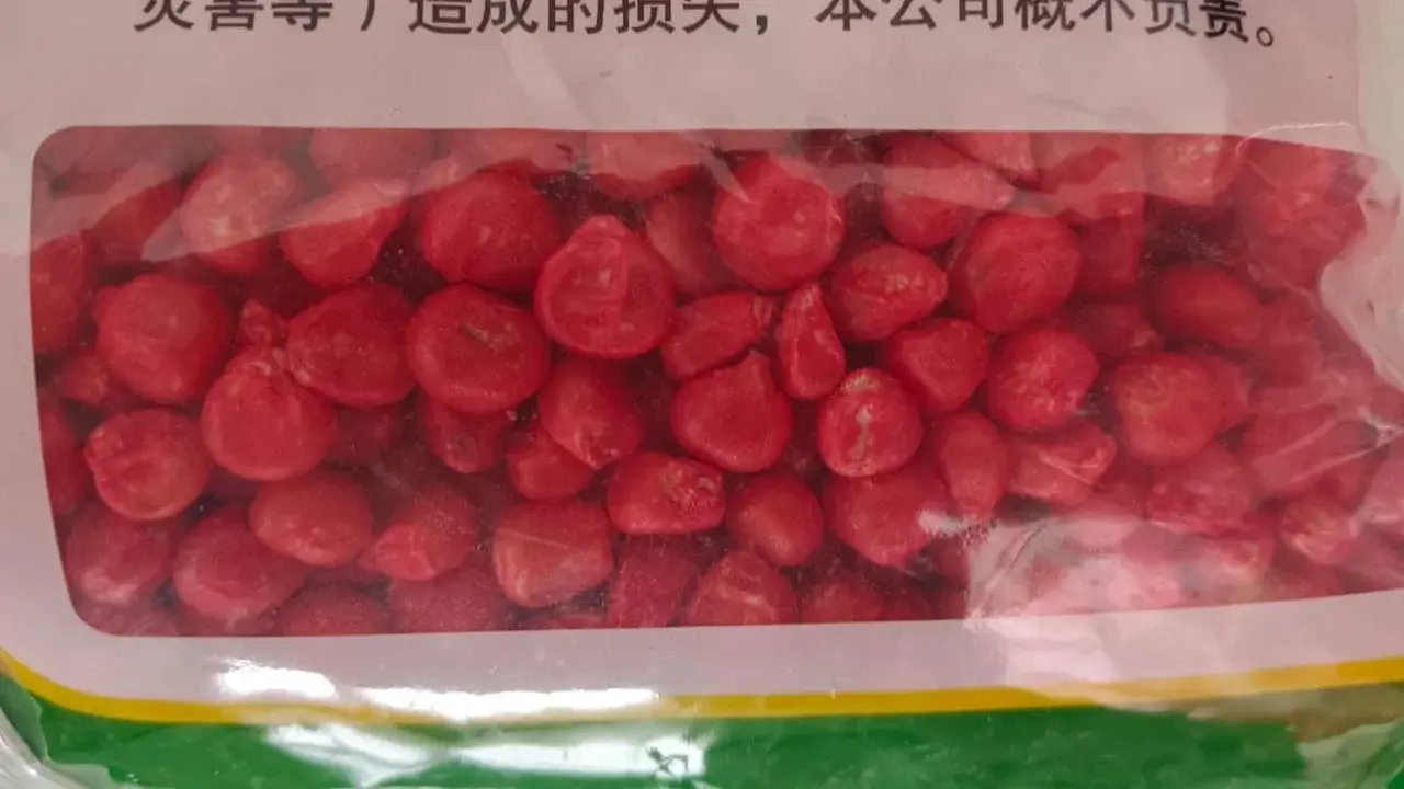 Семена кукурузы на початок, на зерно ФАО 700, гибрид WA6066.WinALL мешок 30,4 кг