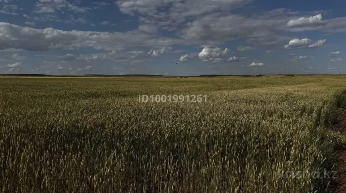 Фермерское Хозяйство