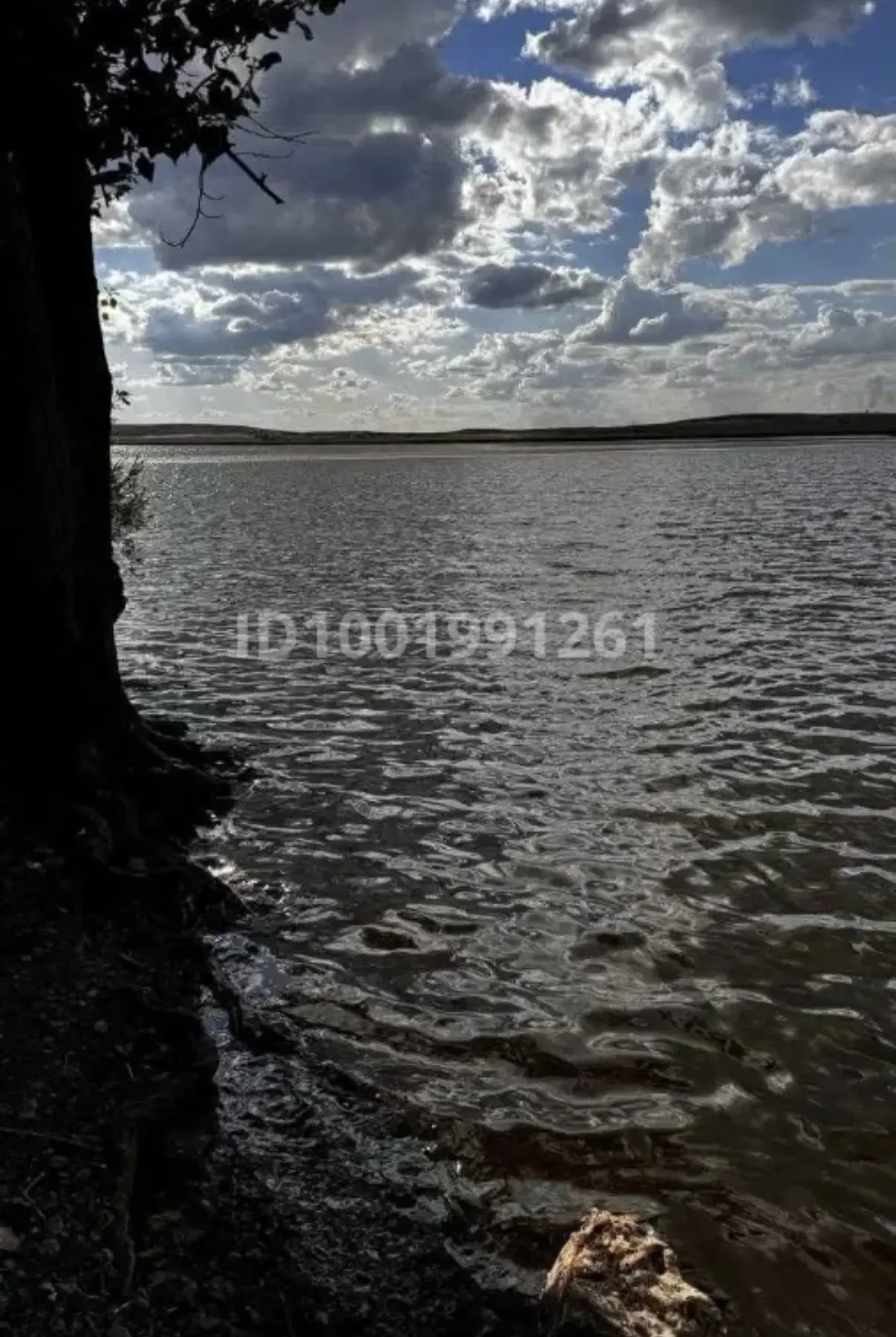 Фермерское Хозяйство
