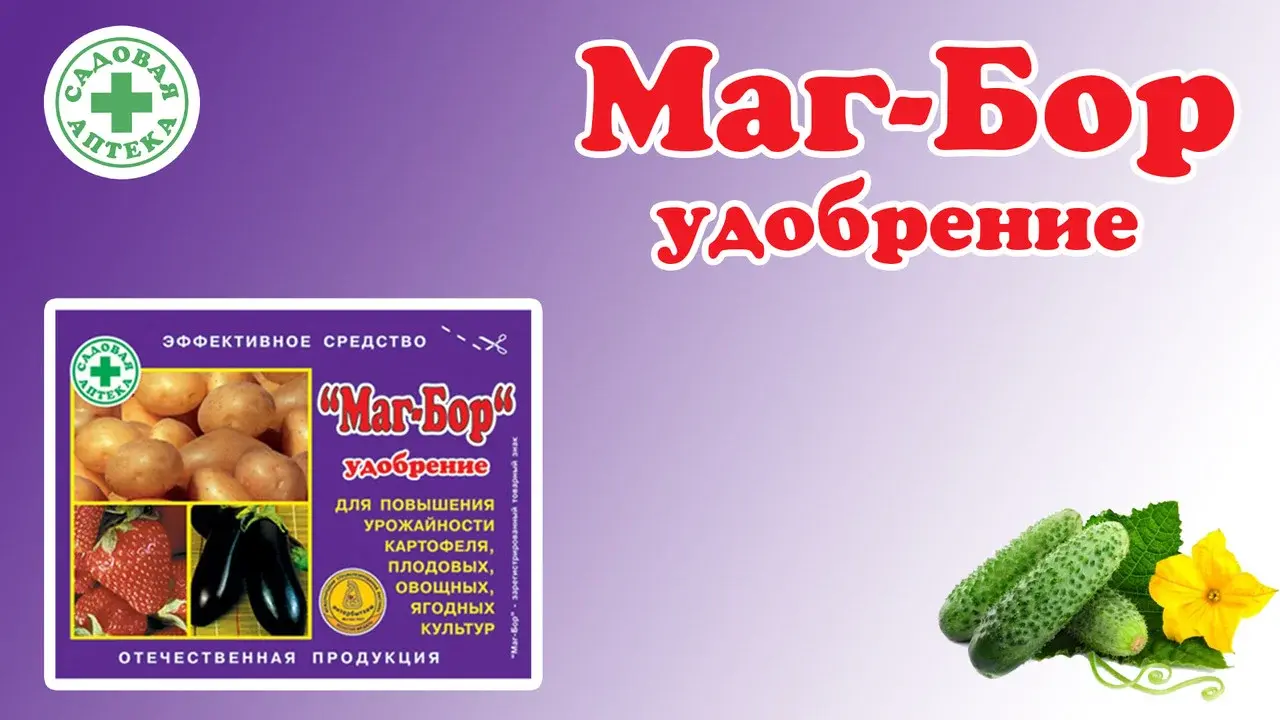 Удобрение Маг-Бор 100гр Код: 00000006475