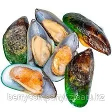 Мидий гигант киви на полустворке 1 кг