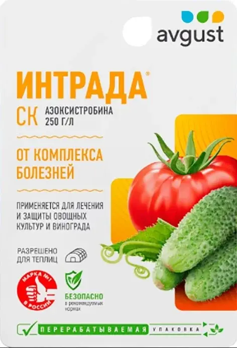 Интрада Август 10мл фунгицид Код: 10-00017963
