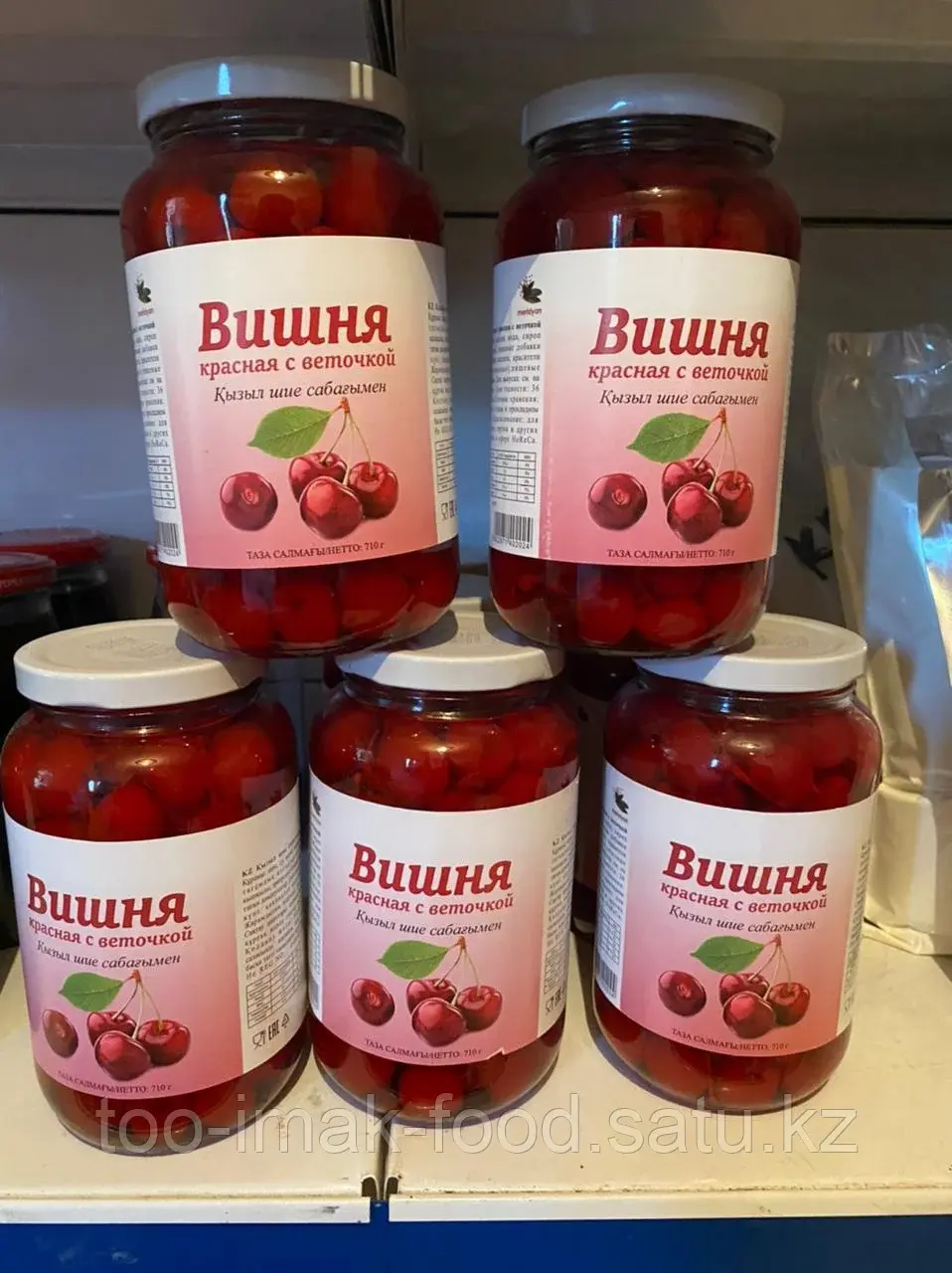 Вишня красная с веточкой