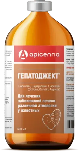 Гепатоджект, 500мл