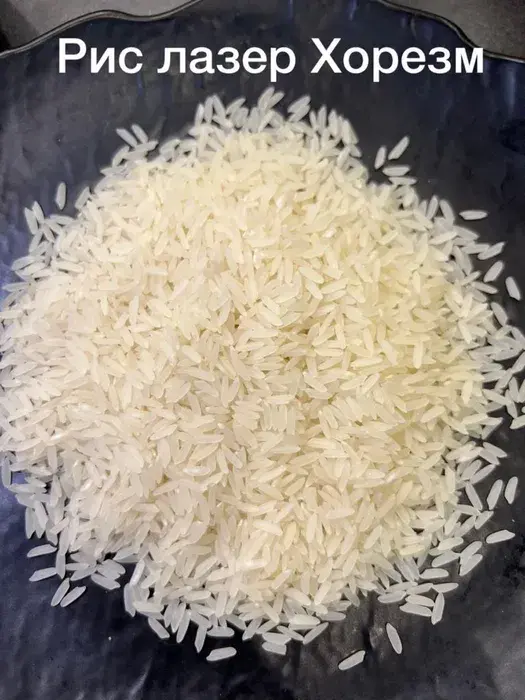 Продам рис Лазер