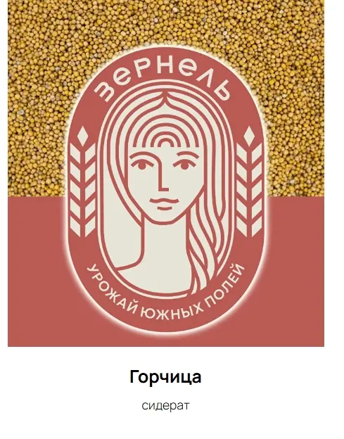 Горчица (сидерат)
