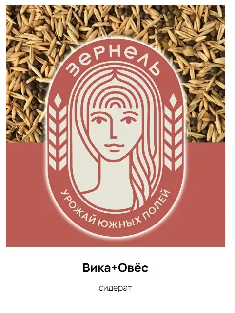 Вика + Овёс (сидерат)