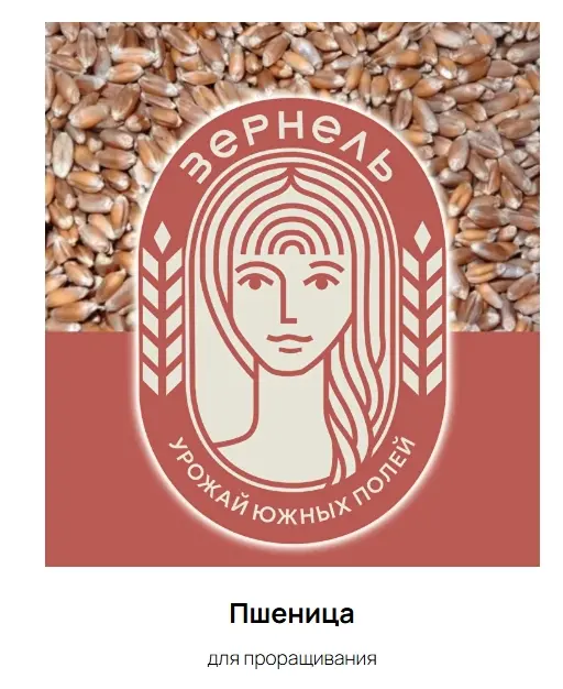 Пшеница для проращивания