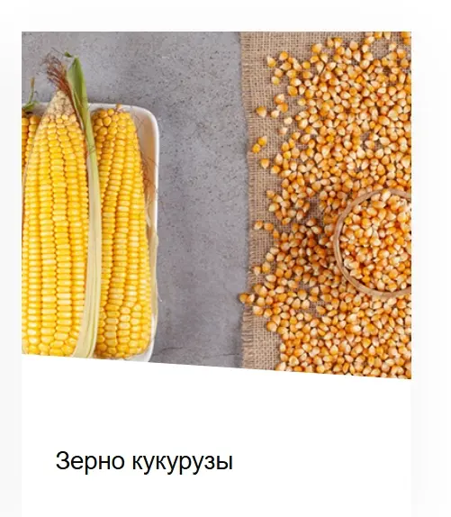 Зерно кукурузы (г. Алматы)