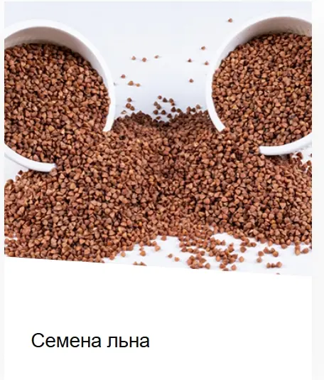 Семена льна (г. Алматы)
