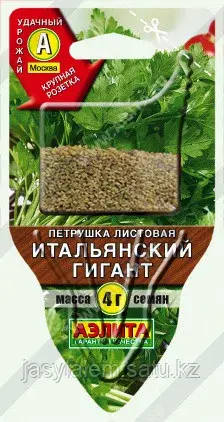 Петрушка листовая Итальянский гигант