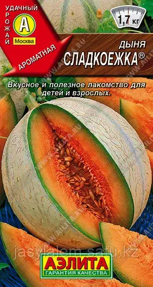 Дыня Сладкоежка