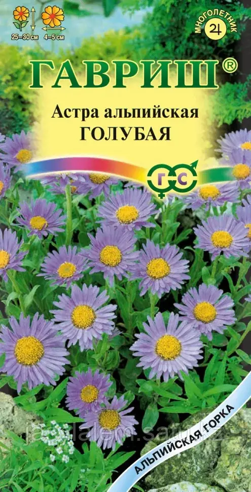 Астра альпийская голубая, 0,1г, Гавриш, Альпийская горка