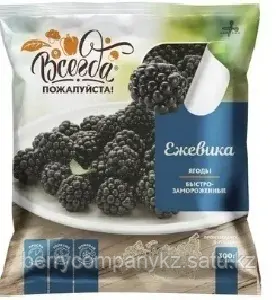 Ежевика Всегда пожалуйста 300 гр