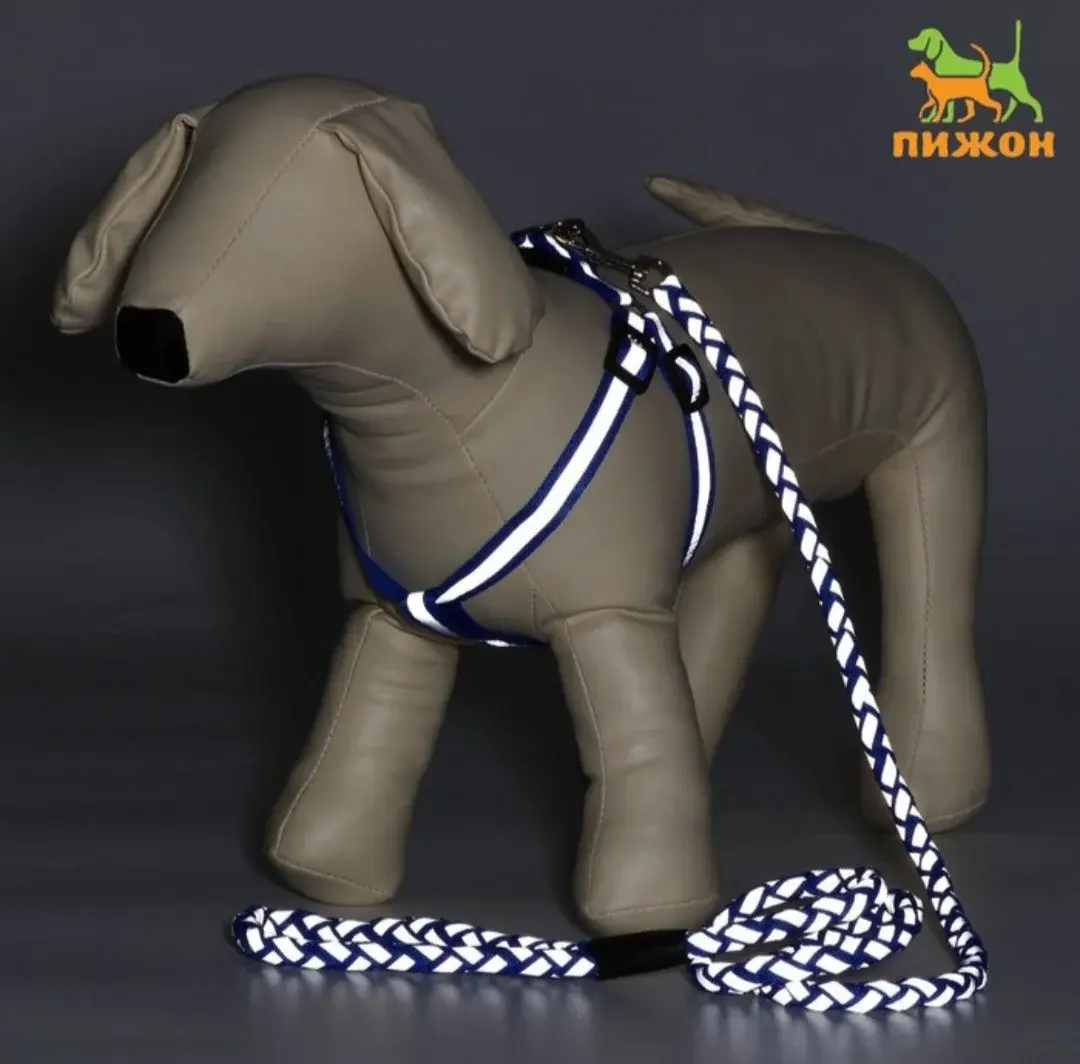 Поводок-рулетка для собак Nunbell, 5 м