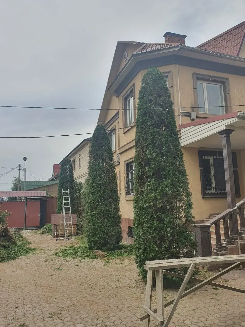 Формировка и обрезка деревьев