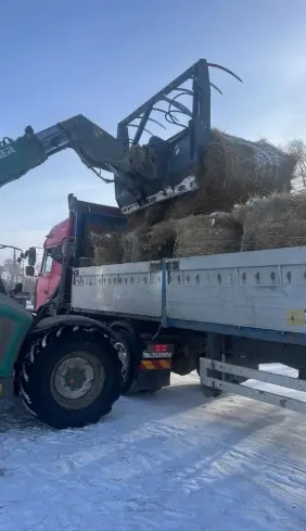 Шөп сатылады — 12 000 тг.